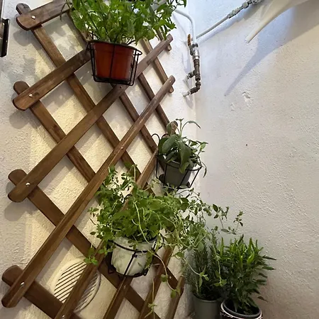 Cri House Apartment Bari