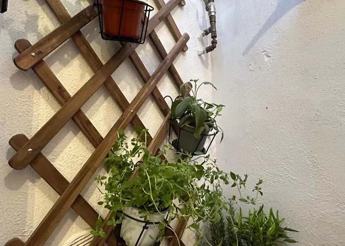 Cri House شقة باري